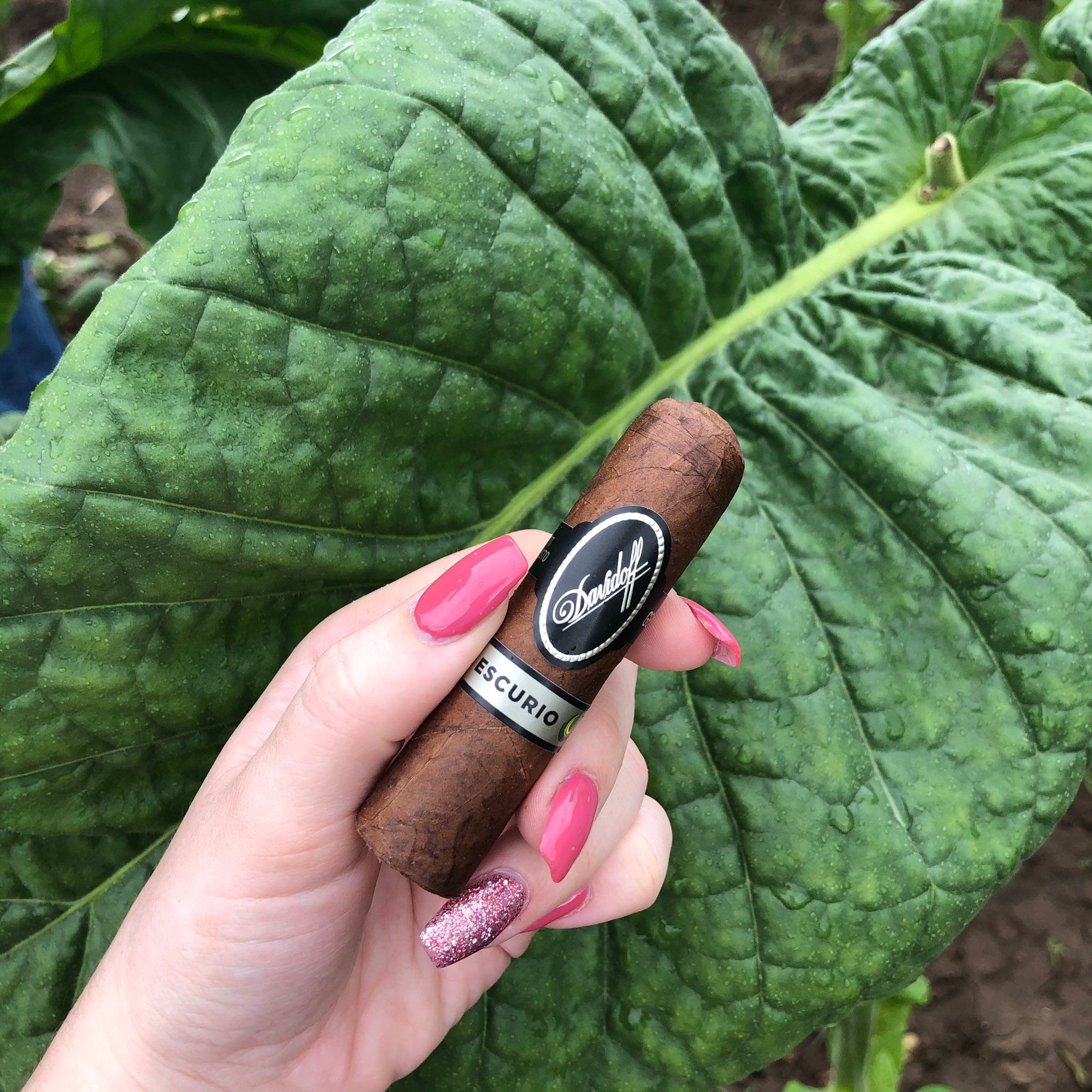 Georgina\'s trip to the Dominican Republic